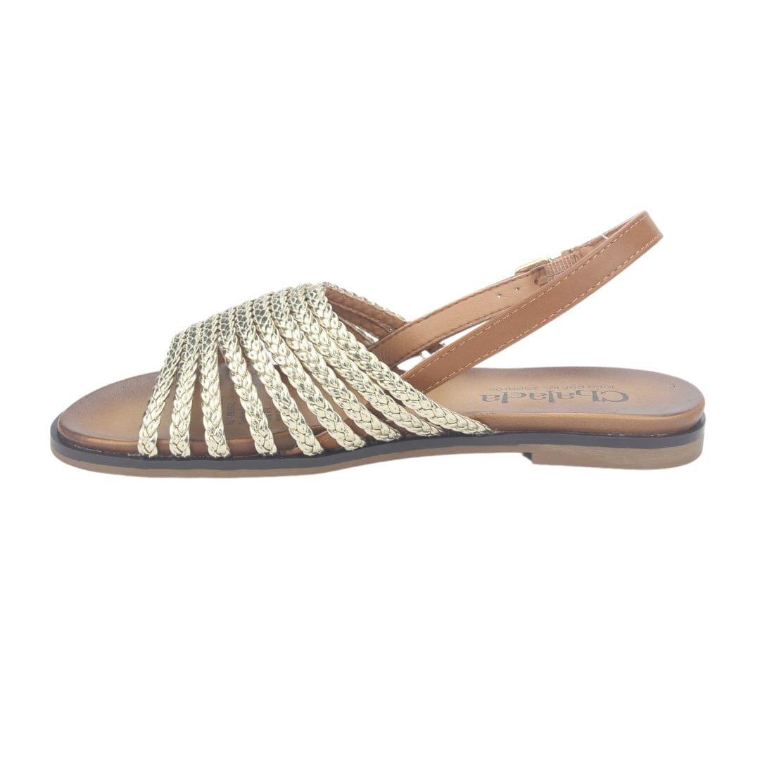 Sandalia Chalada Mujer Greca-61 Dorado Plana Sandalias Chalada 
